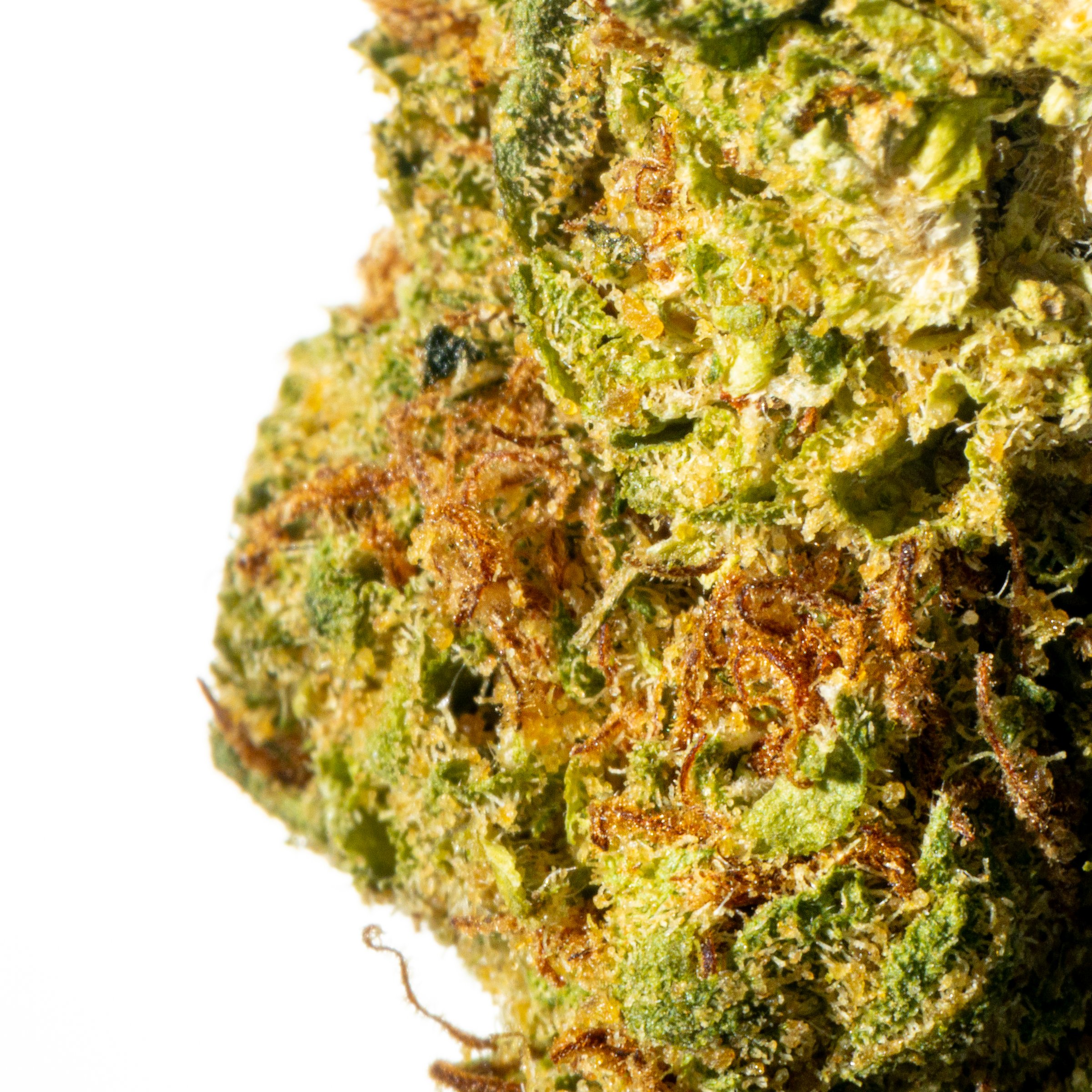 THC AKUT BF 25 PSC ZATLA Online Kaufen