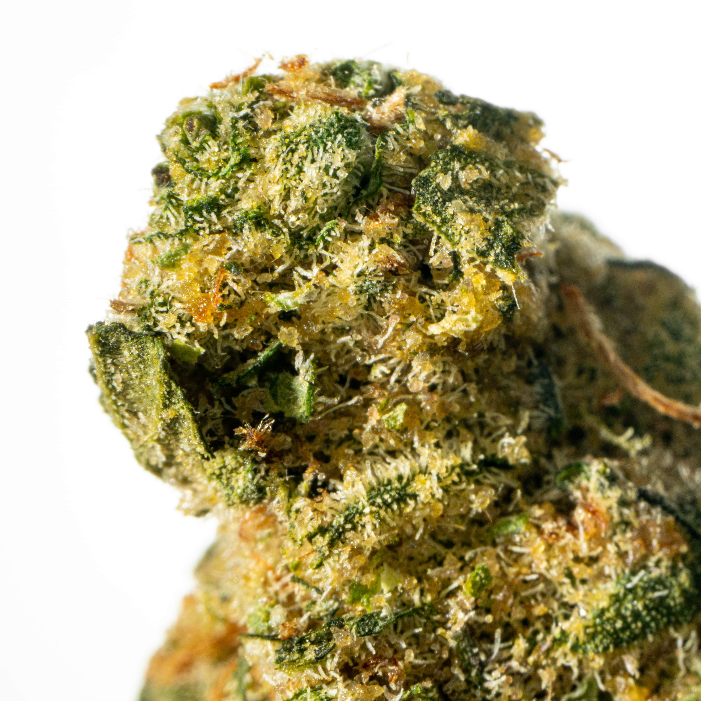 THC AKUT 25 RBP Rainbow Pie Online Kaufen