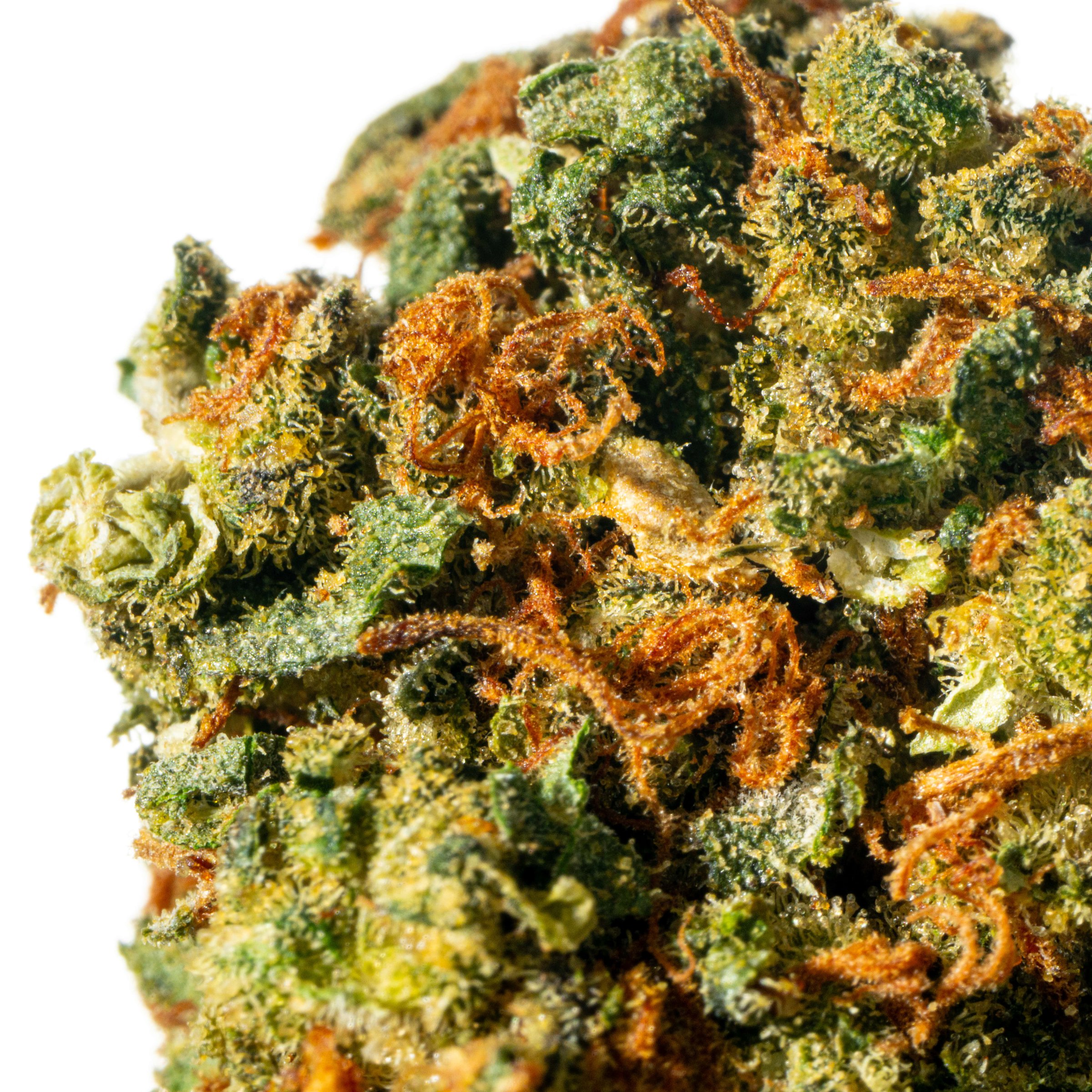 Cannamedical CM 24/1 OG Kush Online Kaufen