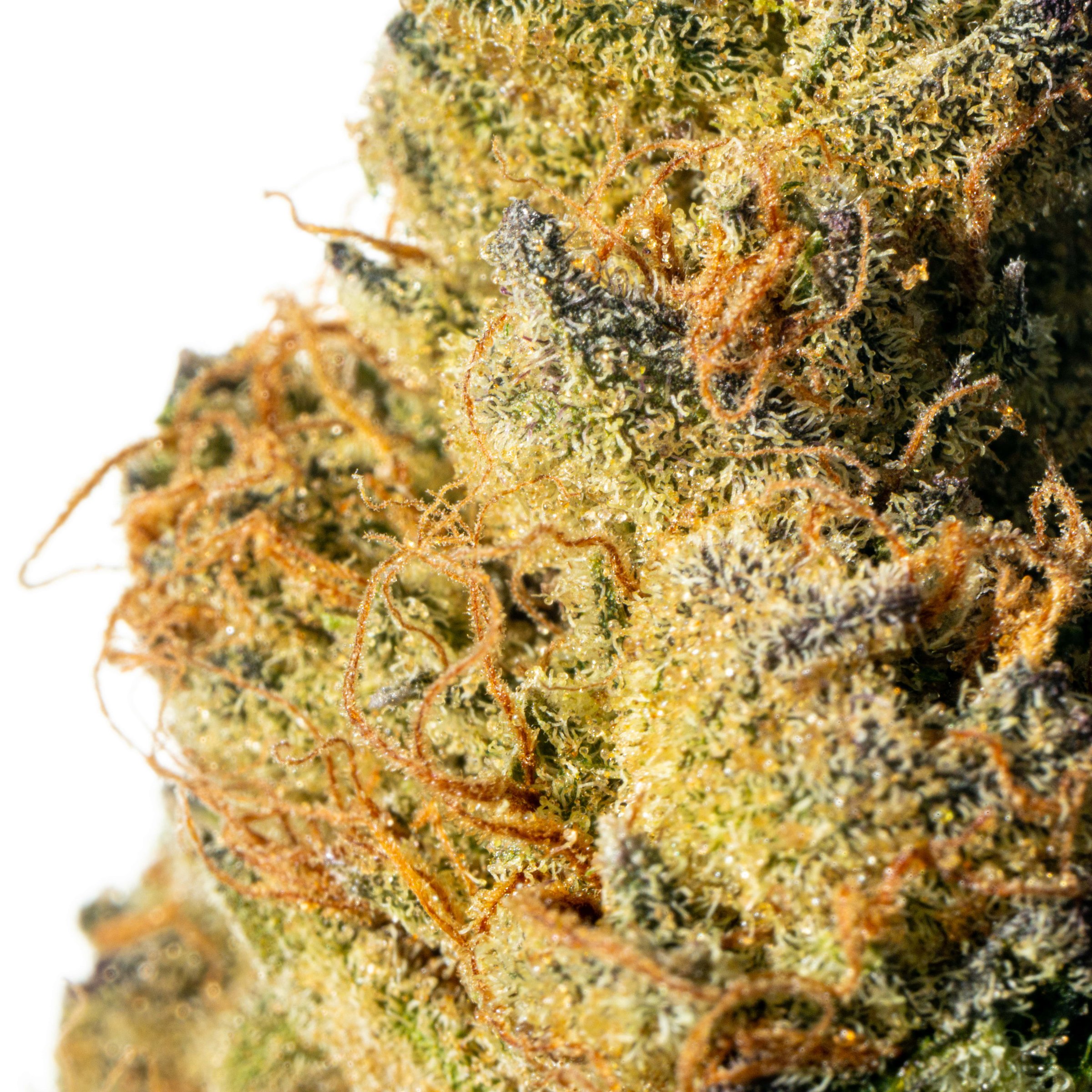 Tilray THC22 Spotlight Porto Triangle Mints Online Kaufen