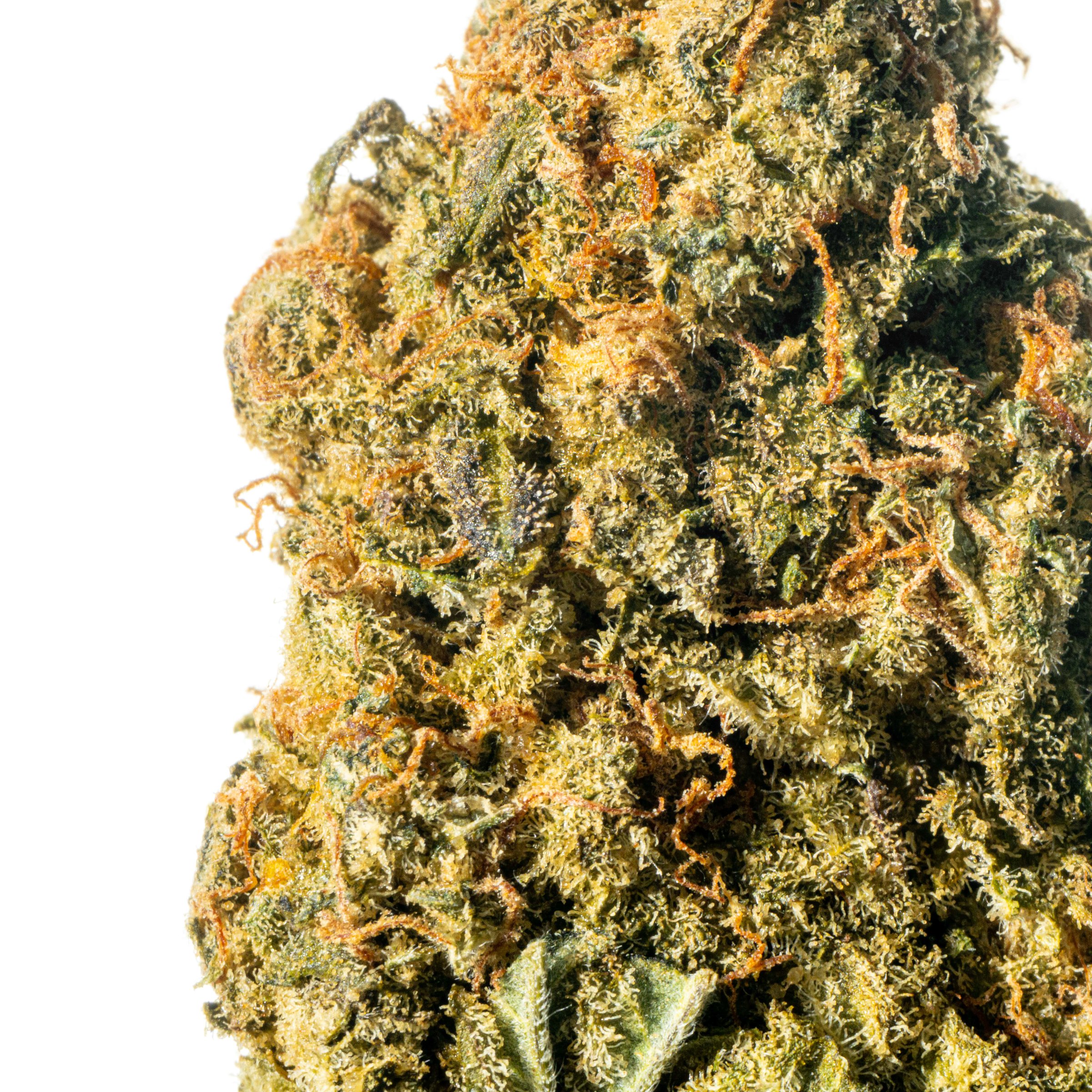 aleph amber 26/1 Mango Kush Online Kaufen