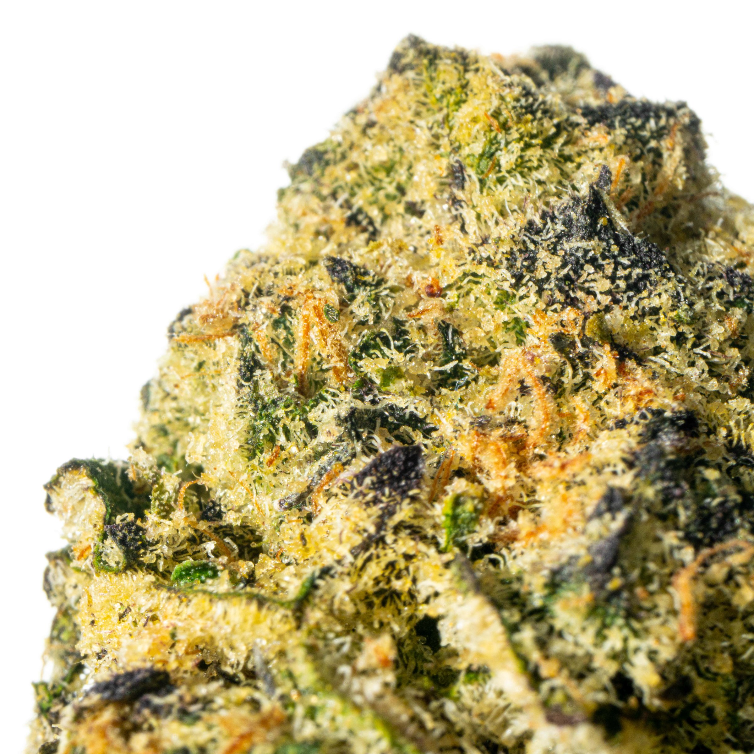 Cannamedical Sativa forte NM Wedding Tree Online Kaufen