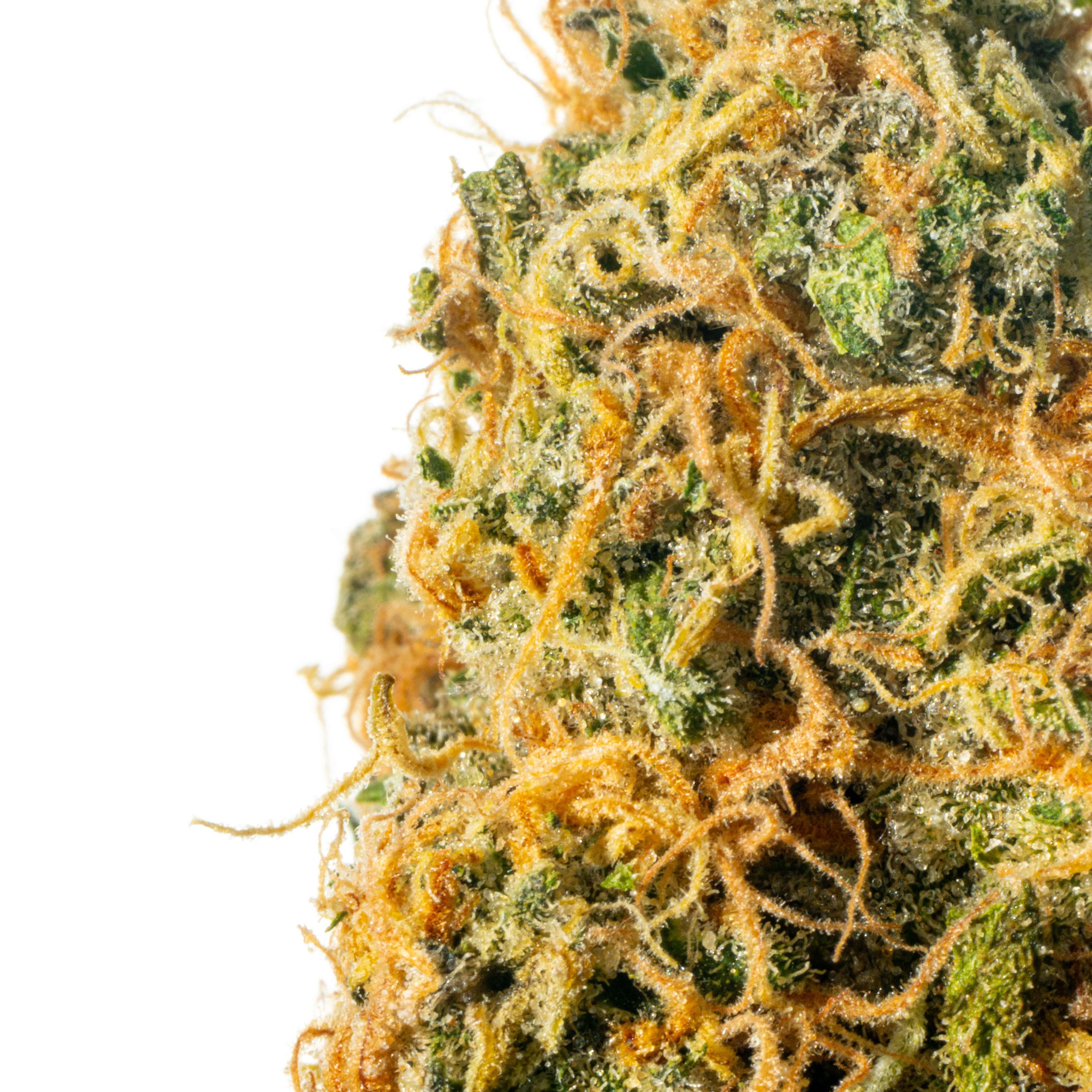 Cannamedical Sativa forte NM Gelato Dream Online Kaufen