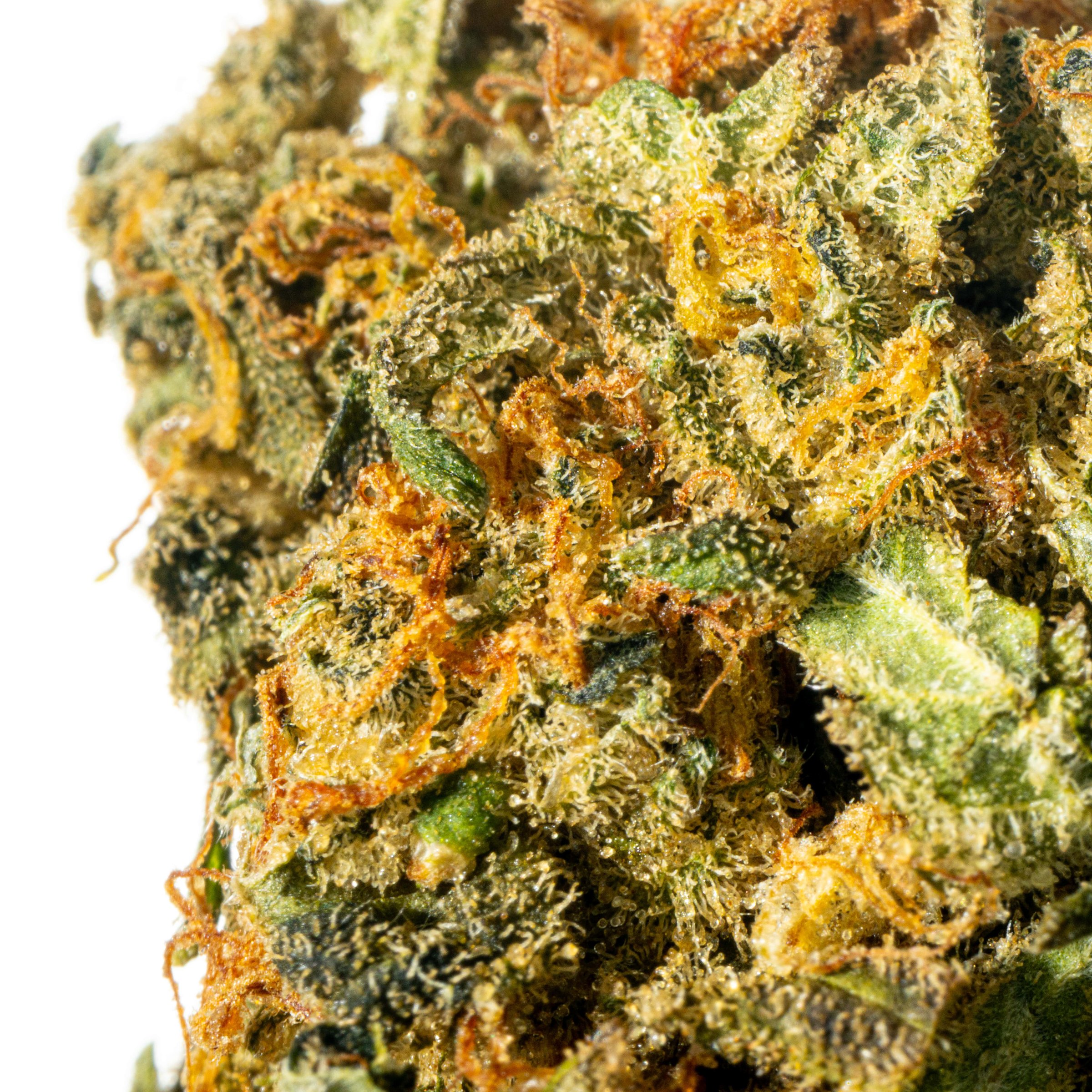Sibanax SHB 28/1 Shishkaberry Online Kaufen