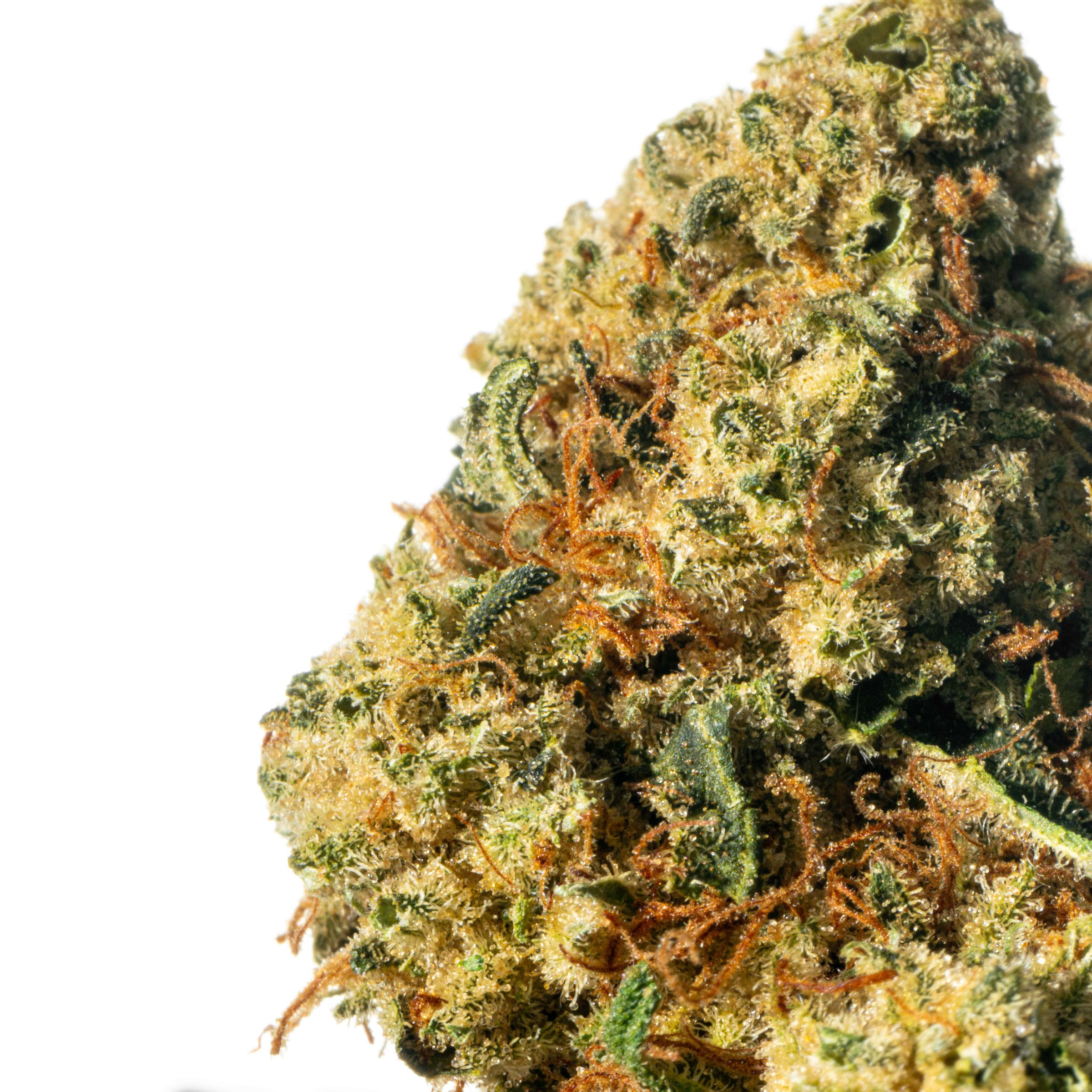 Pedanios 22/1 Ghost Train Haze Online Kaufen