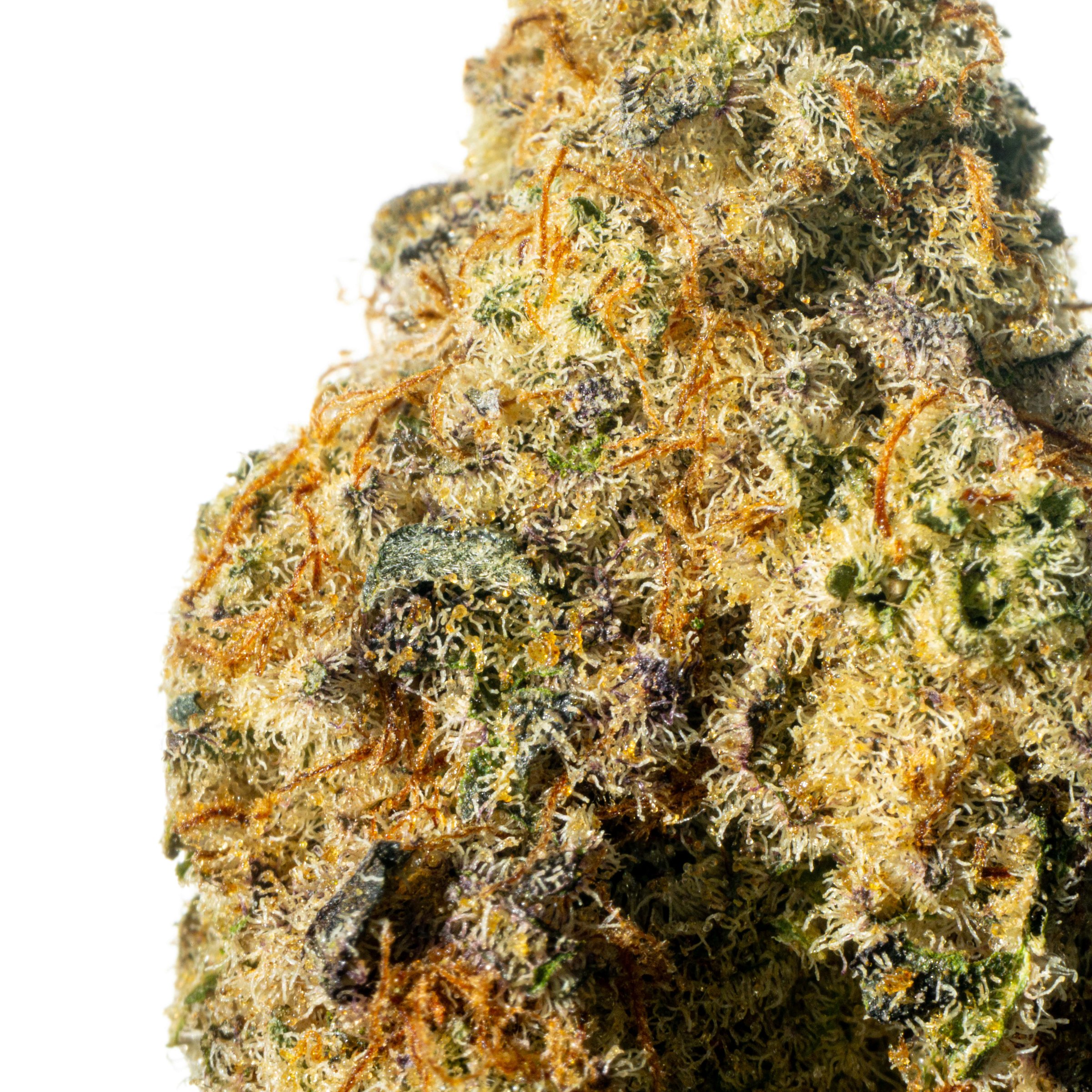 Cannamedical Hybrid Classic BC Mac 3 Online Kaufen