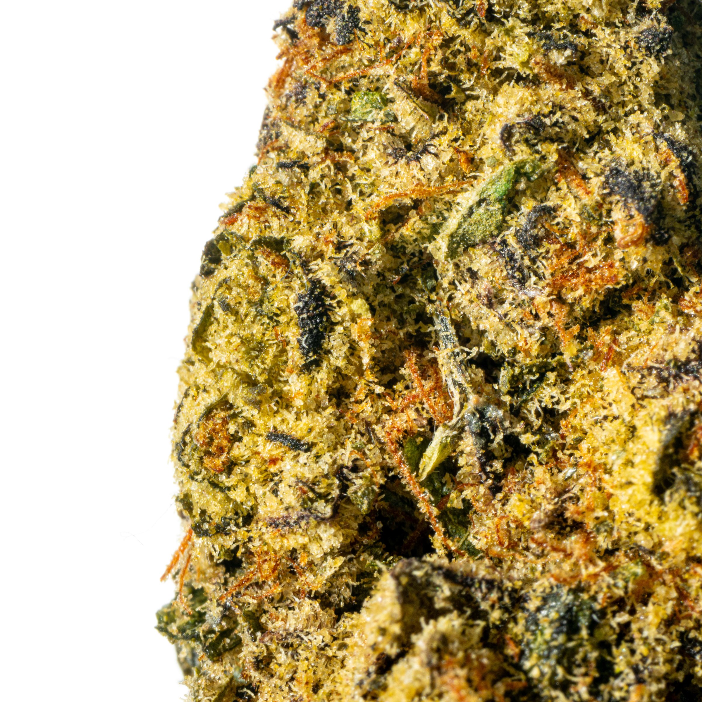 Lot 420 GLOC Gelato x Orange Cake Online Kaufen