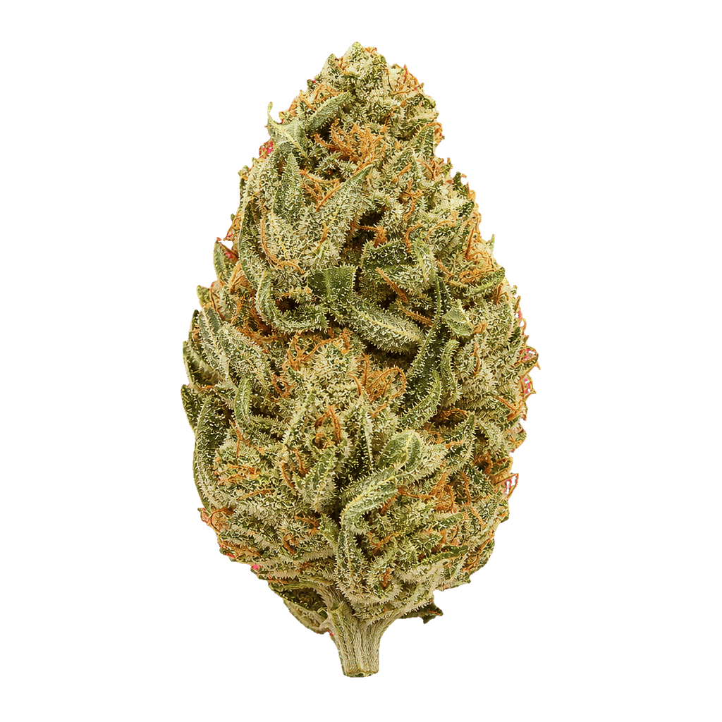 420 Evolution 25/1 PT LPC London Pound Cake Online Kaufen