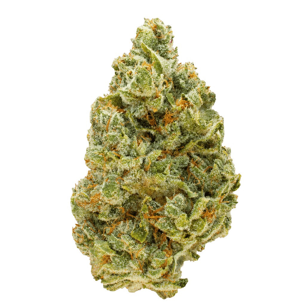 420 Evolution 27/1 CA RZY Red Rozay Online Kaufen