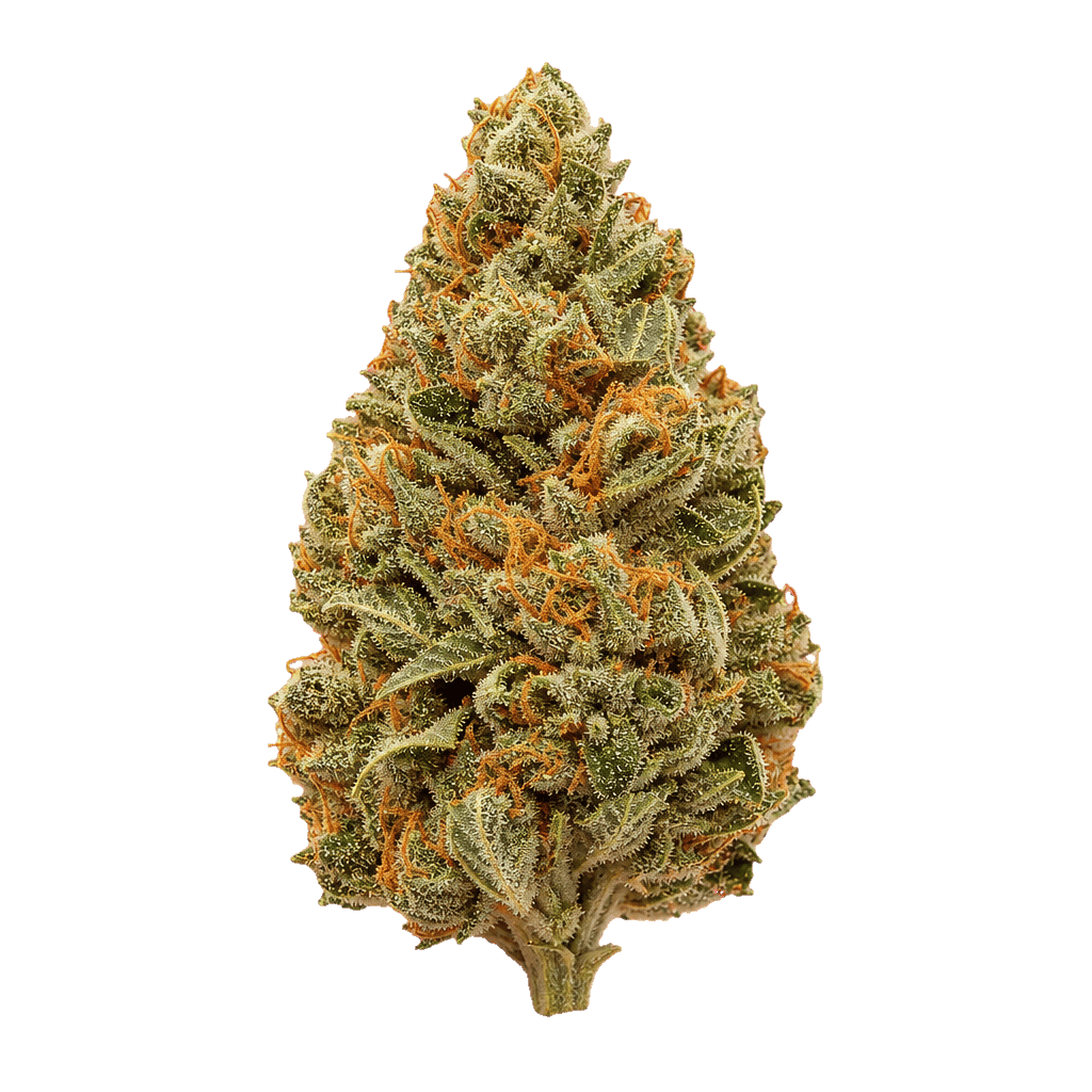 Abby Leaf 24/1 FFC Frosted Fruit Cake Online Kaufen