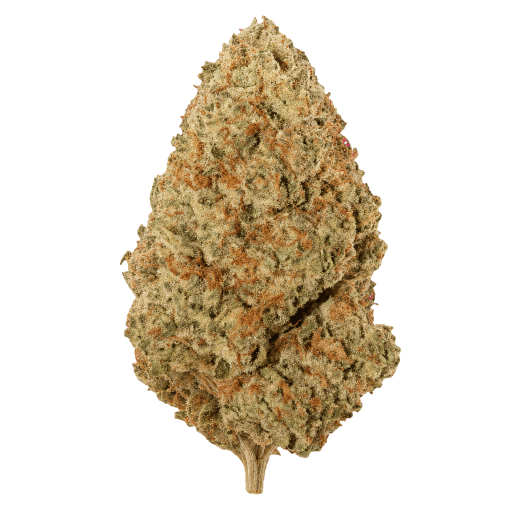 AMP ZEN MAW THC22 Maui Wowie Online Kaufen