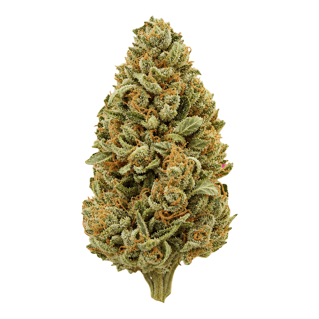Cannabis flos 14/1 CL Ku. Doug’s Varin Online Kaufen