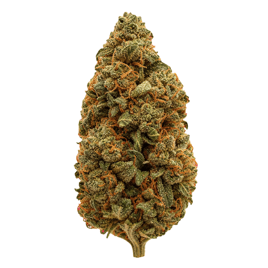 Cannabis Flos 27/1 CSF Ku. Solpina Magic Online Kaufen