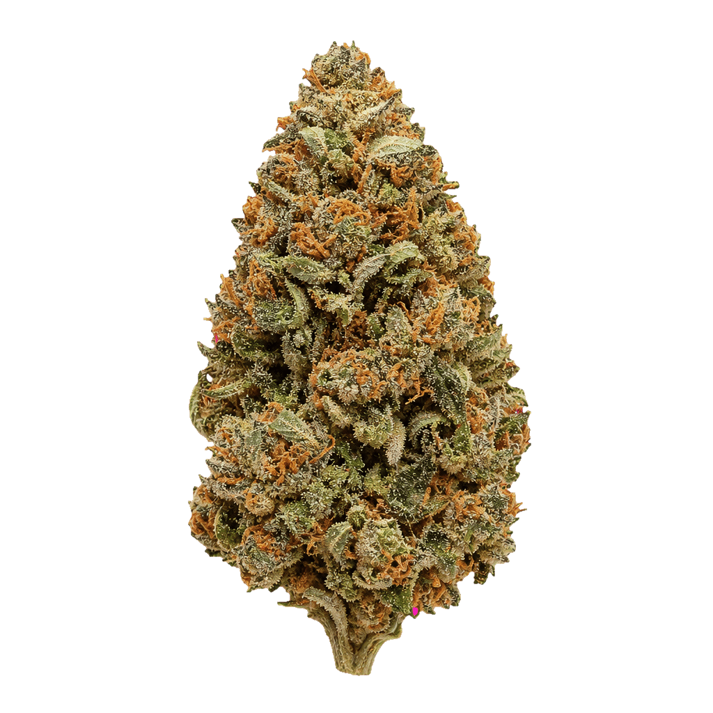 Cannamedical Indica Classic 21/1 AU El Jefe Online Kaufen