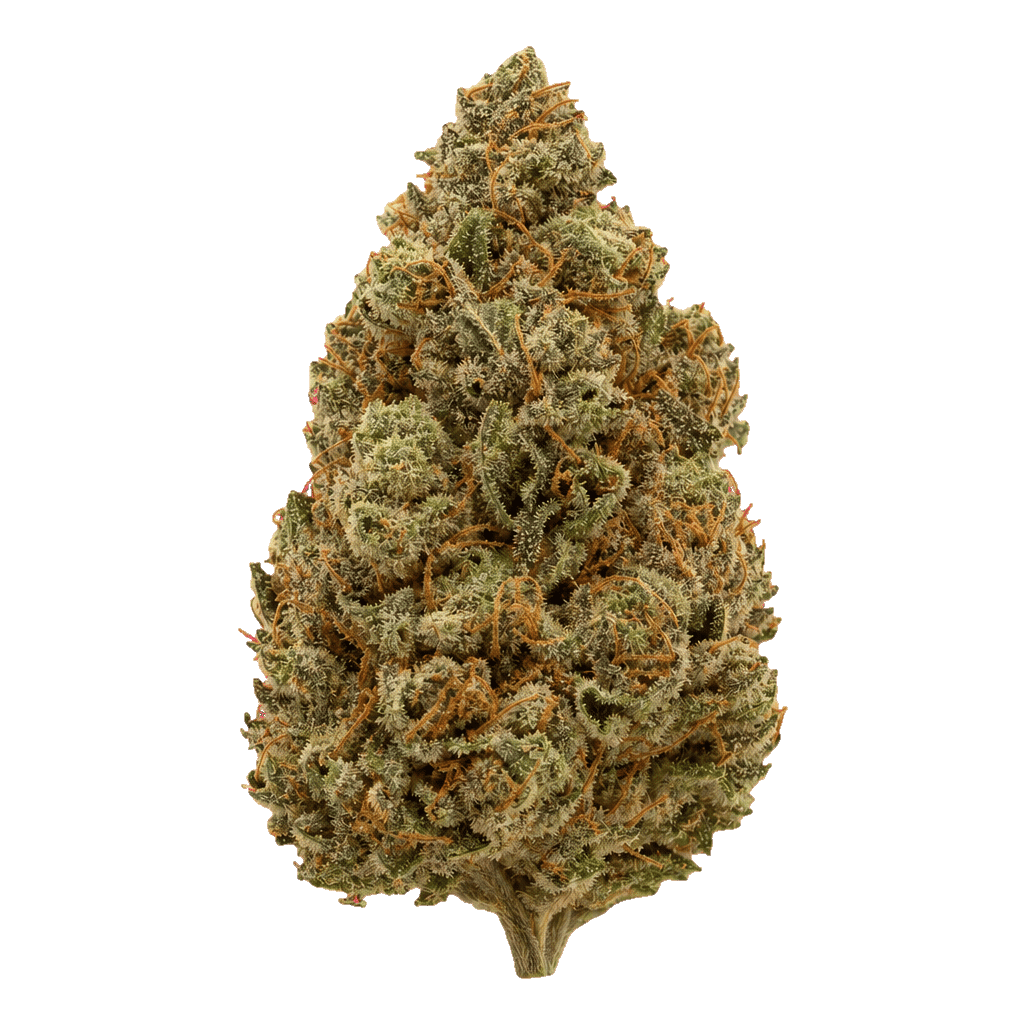 Cannamedical Indica Forte DK 22/1 Gelat Skyfloater Online Kaufen