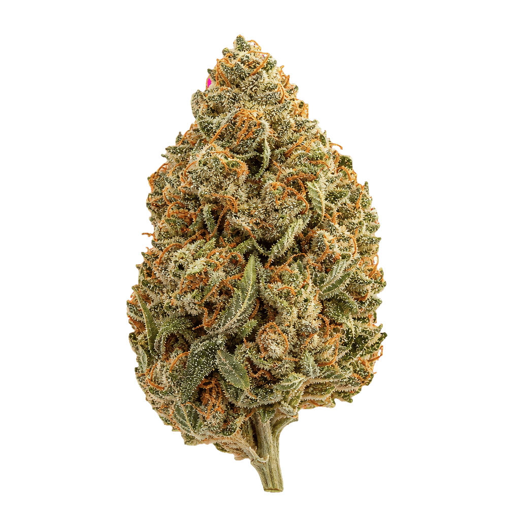 Cannamedical Indica light ZAF SL Strawberry Lemonade Online Kaufen