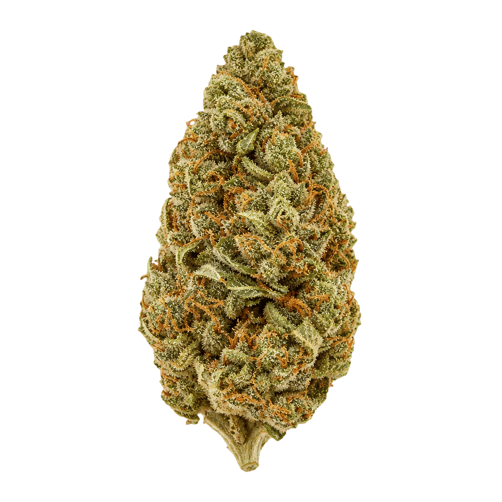 Cannamedical Sativa Classic SA Jack Herer Online Kaufen