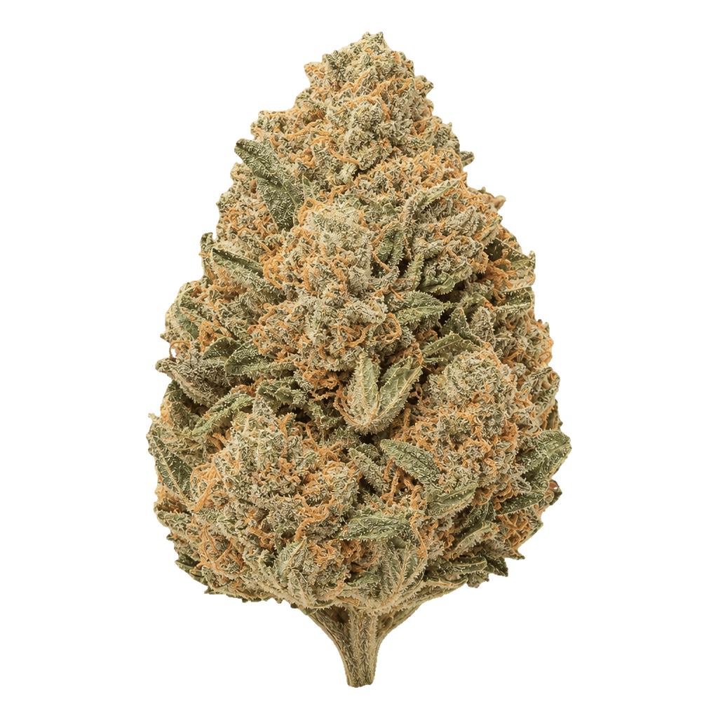 Cannamedical Indica Classic DK Sky Berry Kush Online Kaufen