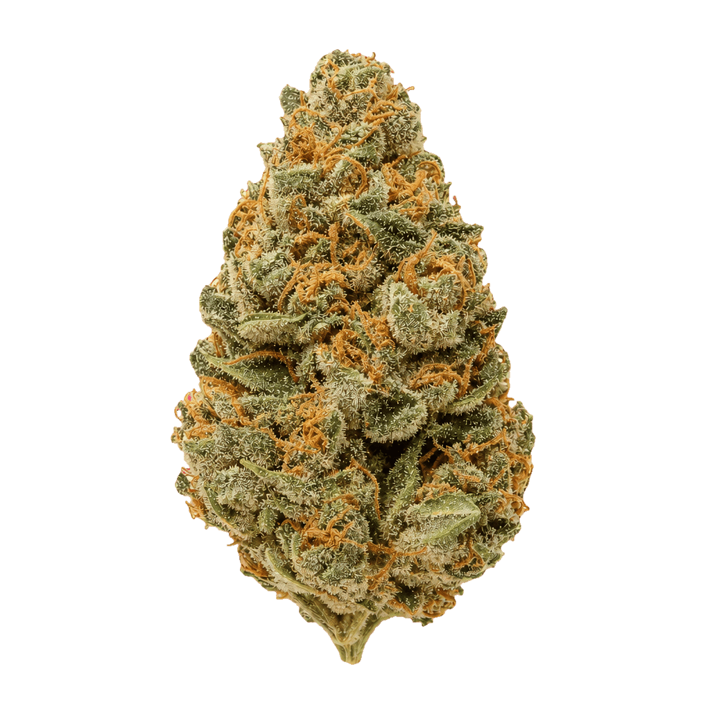 Cannamedical Indica Forte DK Sky Berry Kush Online Kaufen