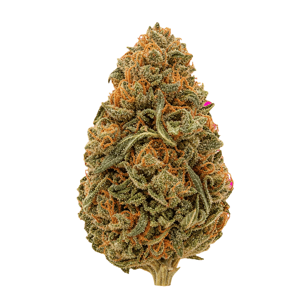 Cannamedical Hybrid Forte KA GL Gelato Lemon Online Kaufen