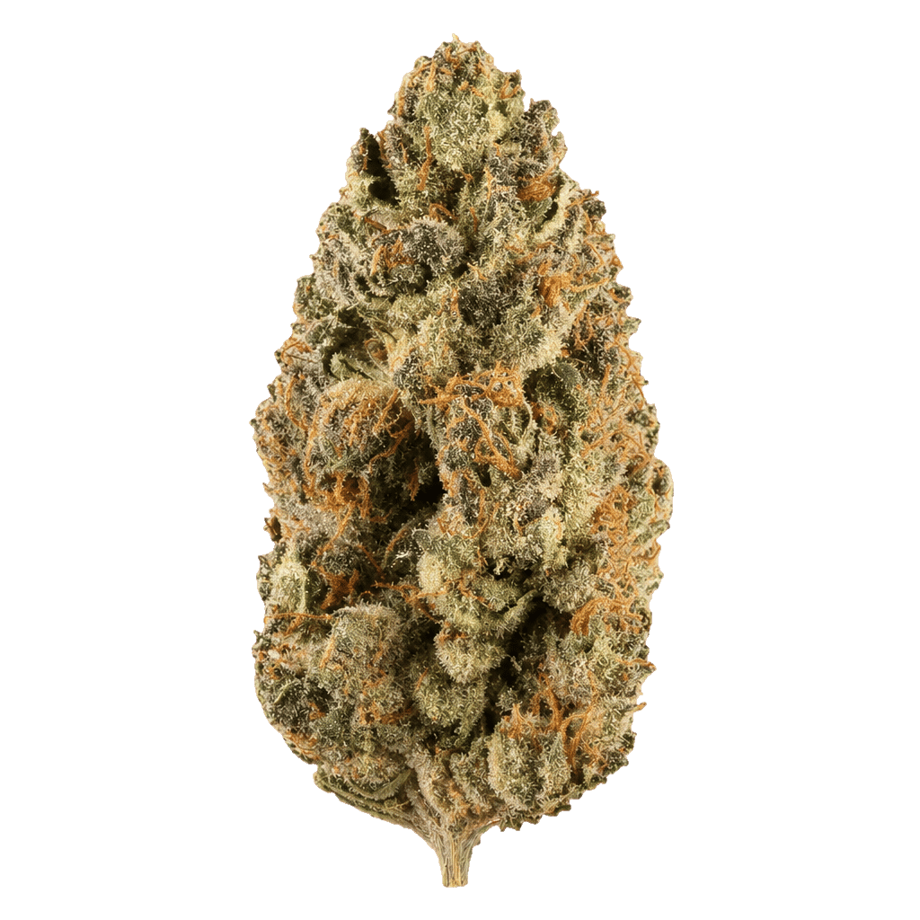 Demecan Craft Electron 31:01 Gelato x OG Kush Online Kaufen