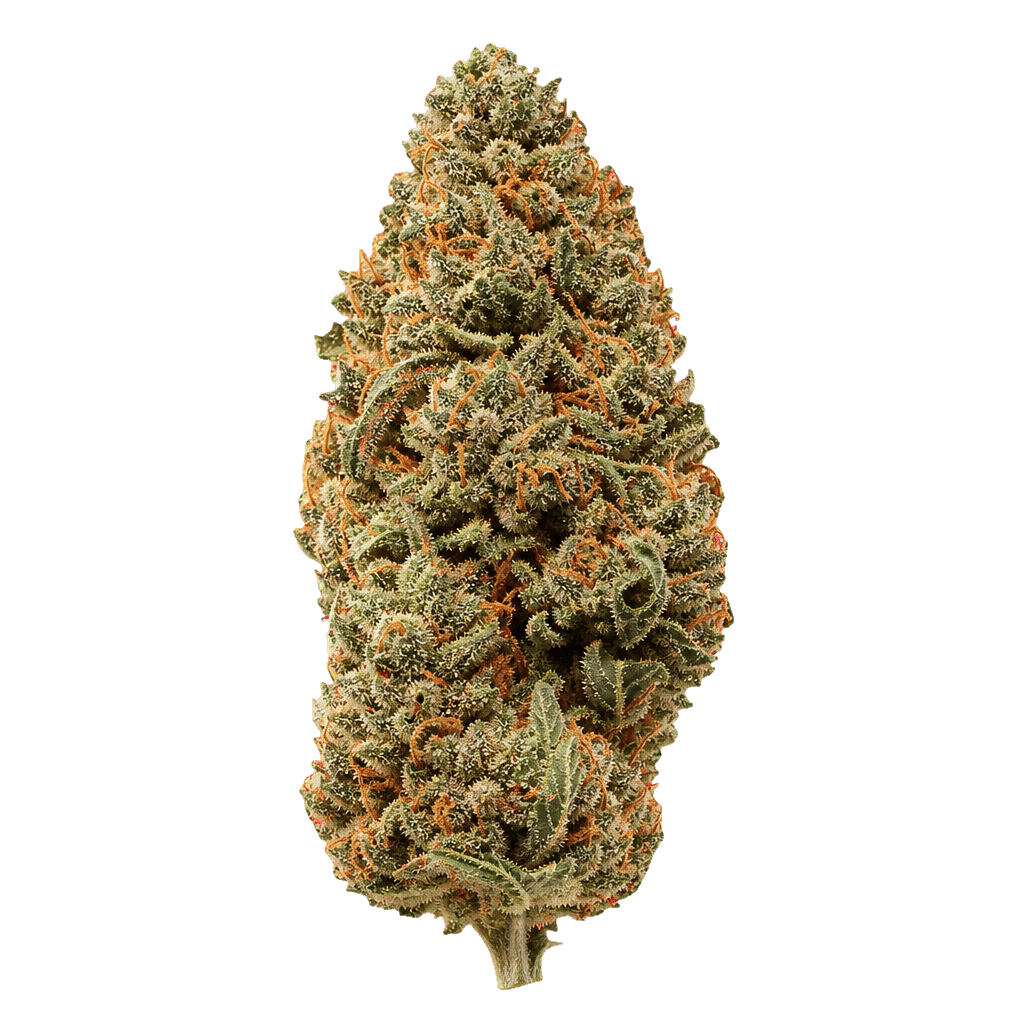 enua 25/1 JFK CA Jet Fuel Kush Online Kaufen