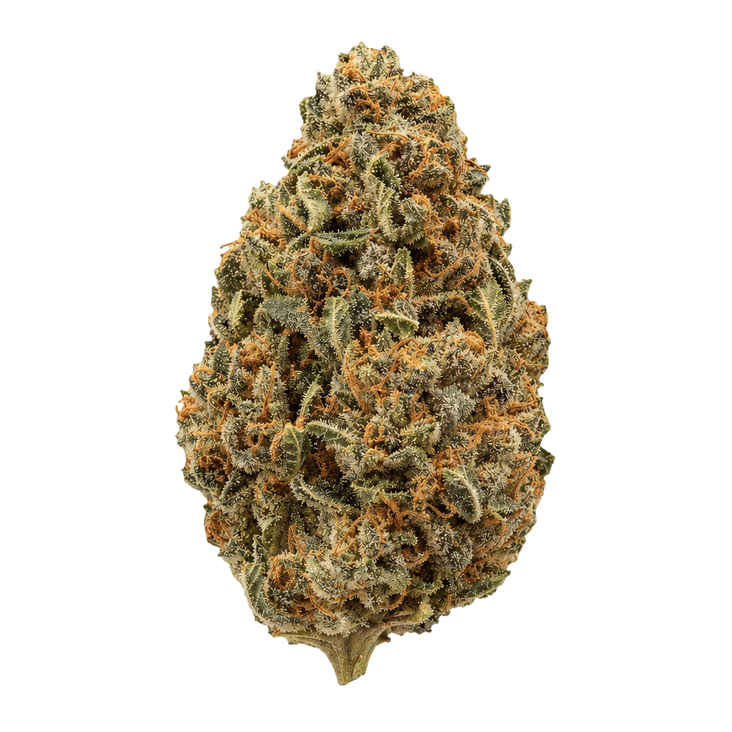 enua 30/1 PS3 CA JFG Jet Fuel Gelato Online Kaufen