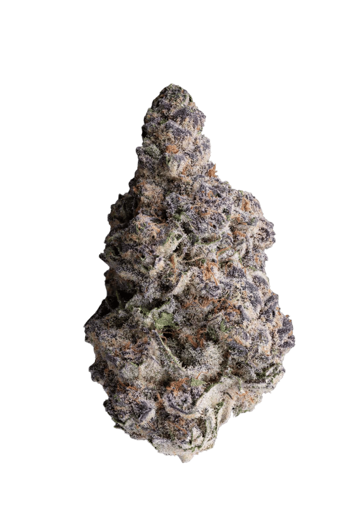 GrowMotion SBC24 Super Buff Cherry Online Kaufen