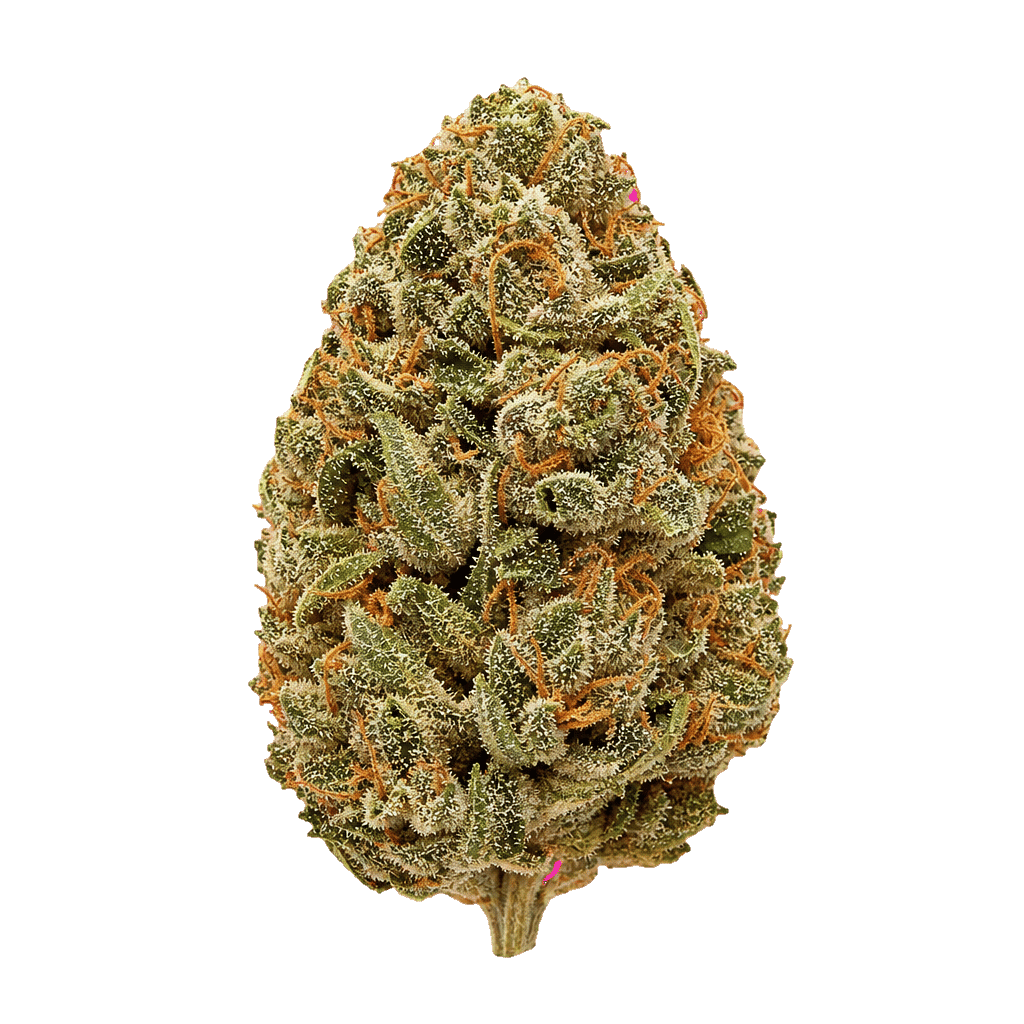Huala 27/1 CA OSB Orange Sherbet Online Kaufen