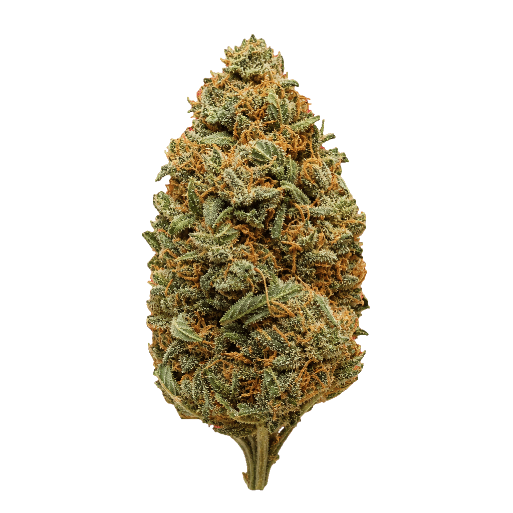 IMC Outdoor OG Kush 28/1 OG Kush Online Kaufen