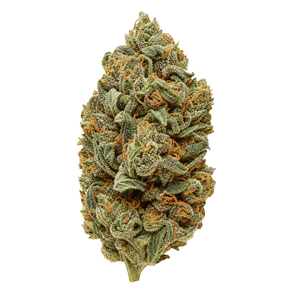 Kush Collective GDP 27/1 Granddaddy Punch Online Kaufen
