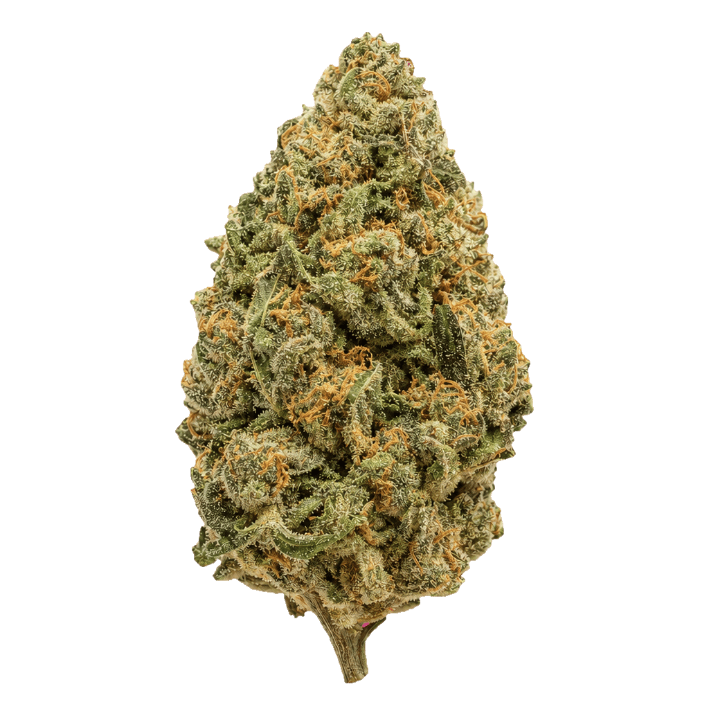 Luana 24/1 APE Sour Ape Online Kaufen