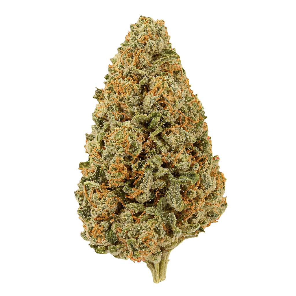 madrecan 27/1 GB9 Garlic Budder Online Kaufen