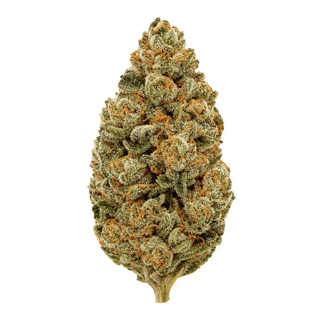 San Raf 27/1 PNK Pink OG Kush Online Kaufen