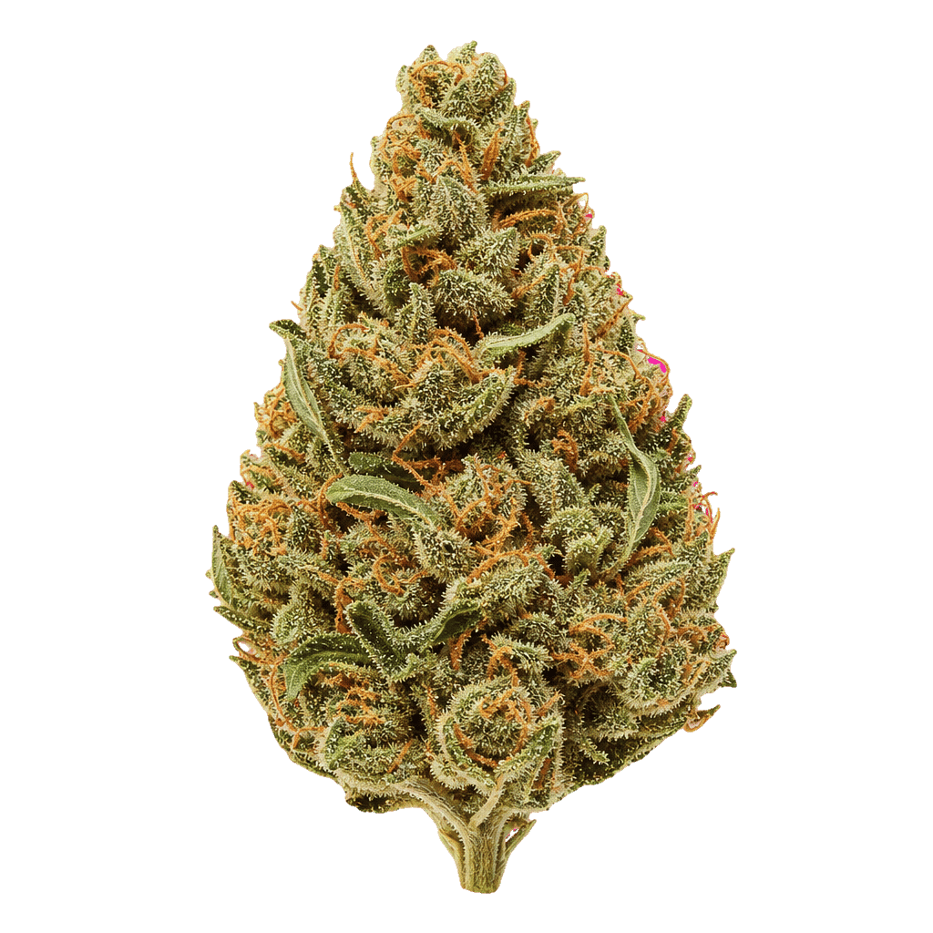 SKK WWZ PSM White Widow Haze Online Kaufen