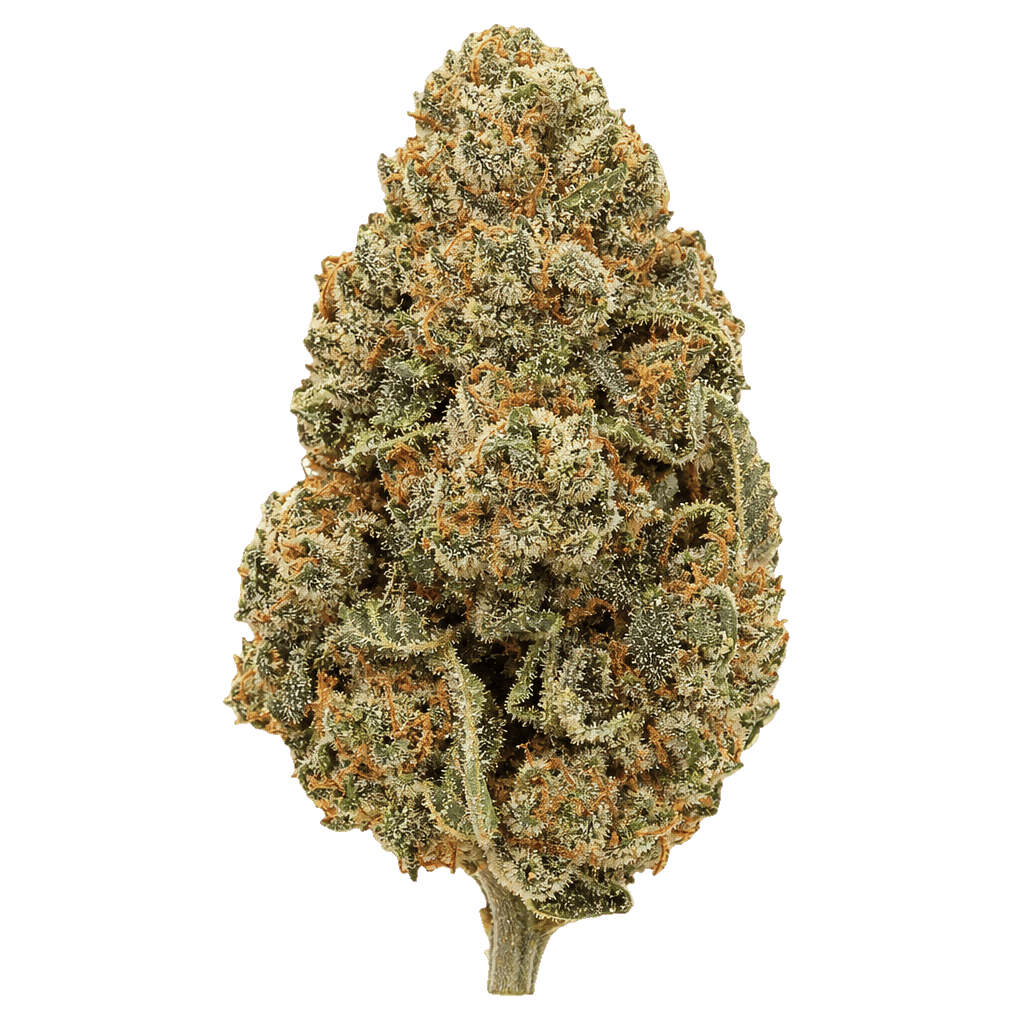 Tilray Hybrid THC Strong Gorilla Glue Online Kaufen