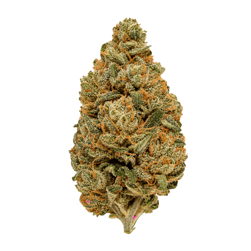 Tilray CRAFT THC 25 CCC Cherry Cheesecake Online Kaufen
