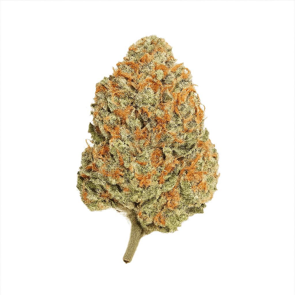 Tilray THC 15 Spotlight Porto Blueberry Online Kaufen