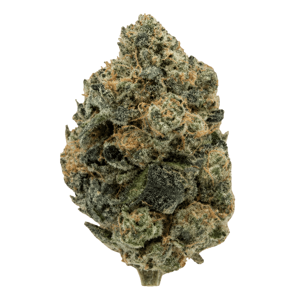 TRUU GT 30:01 Cookies OG Cannabis Blüte Online Kaufen