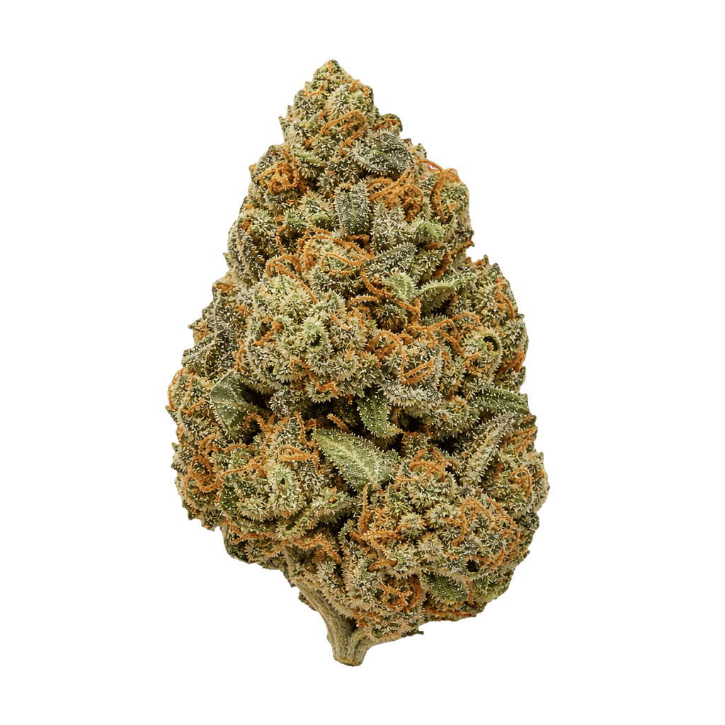 Wellford Luma 26/1 ZA SOC Sour OG Cheese Online Kaufen