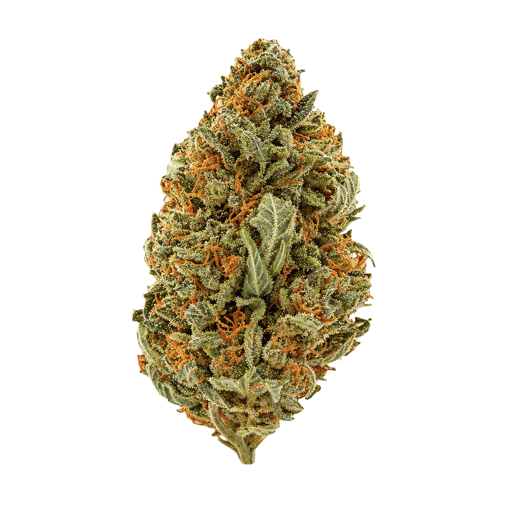 Zoiks 22/1 SLD Sun Lemon Diesel Online Kaufen