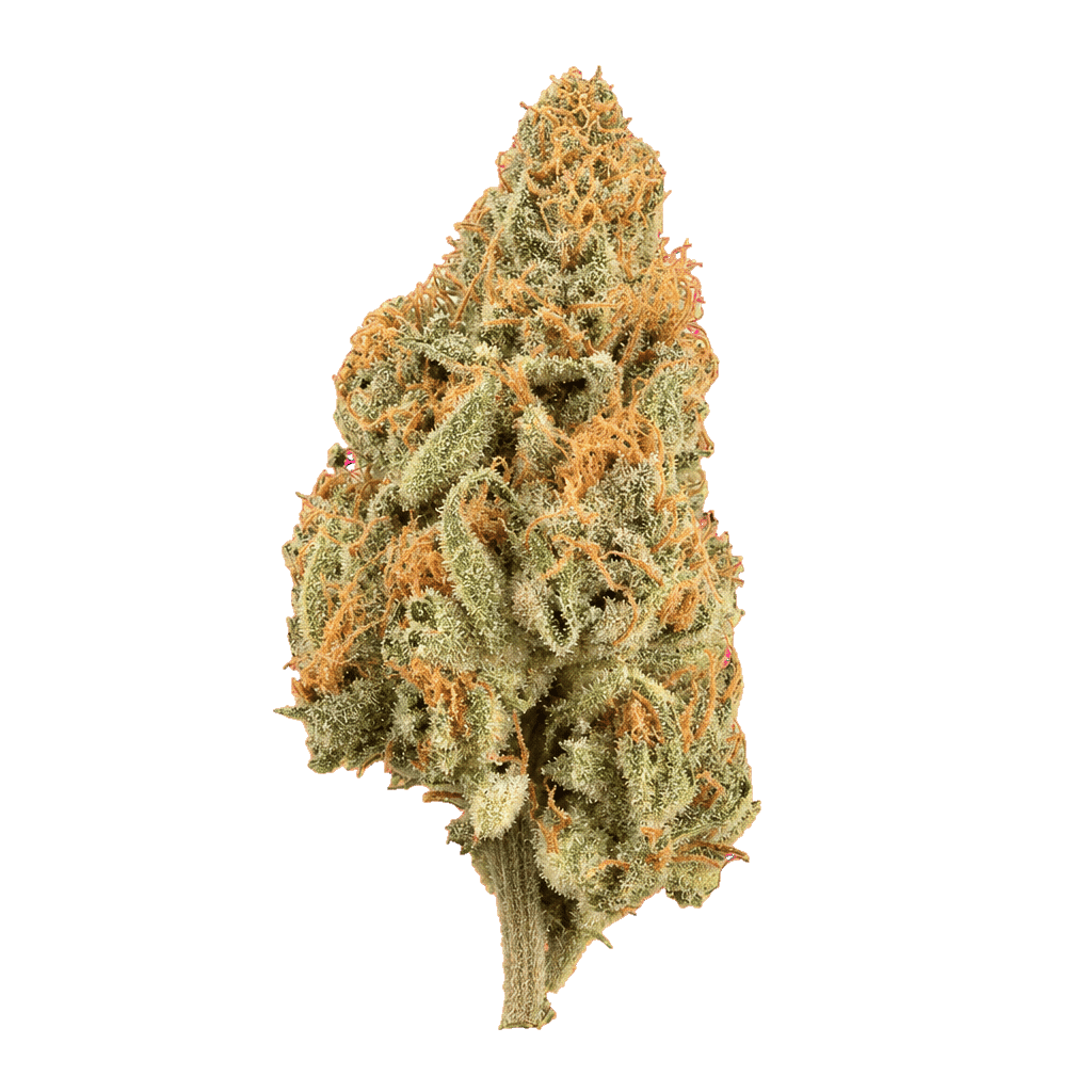 ZOIKS 22/1 LK OG Lime Kush Online Kaufen