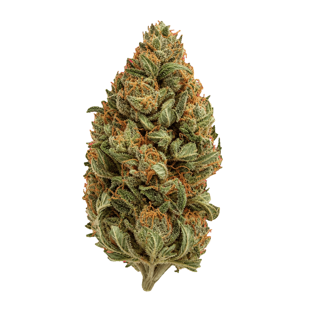Demecan Craft GO 24:01 Game Over #4 Online Kaufen