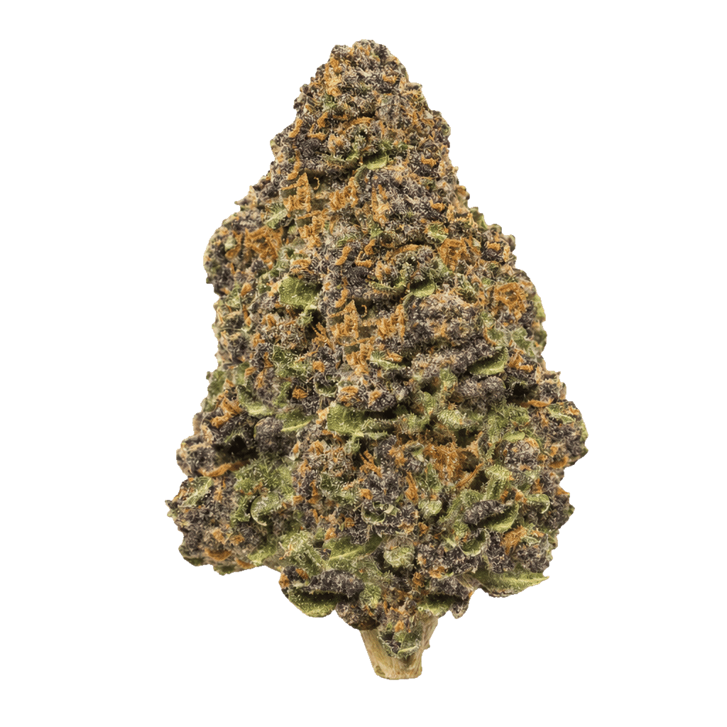 Cannamedical Hybrid Forte BC Lemon Cookies Online Kaufen