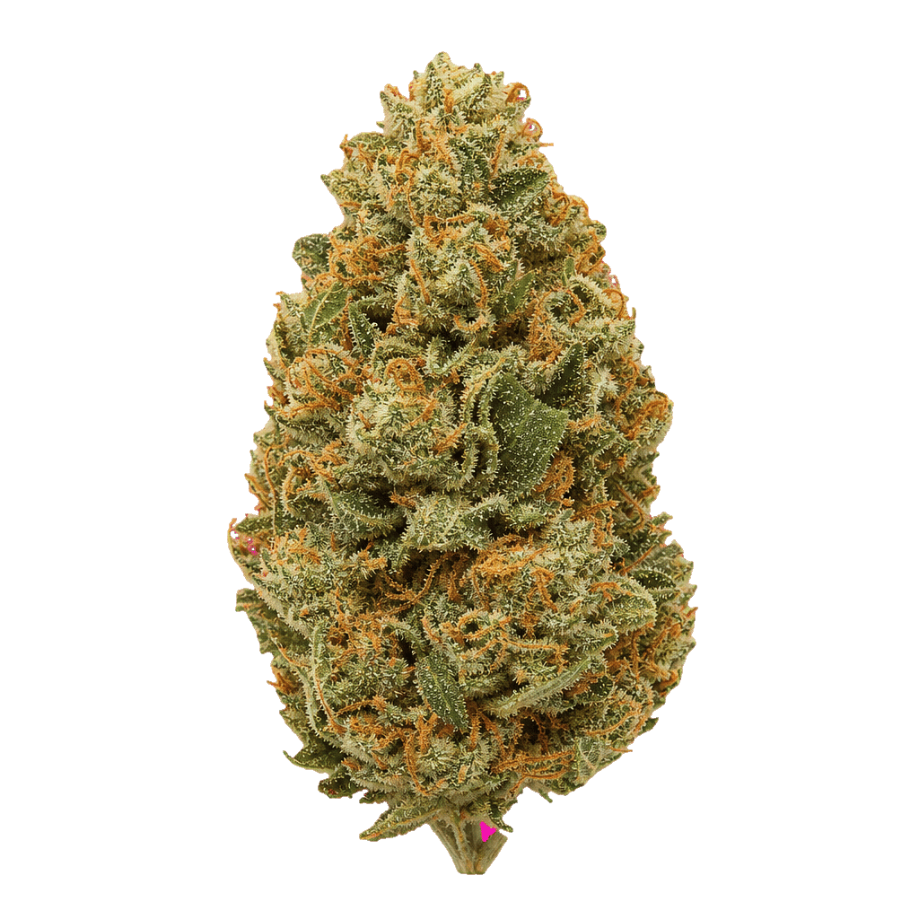 Weeco LMC 30/1 Lemoncello Online Kaufen