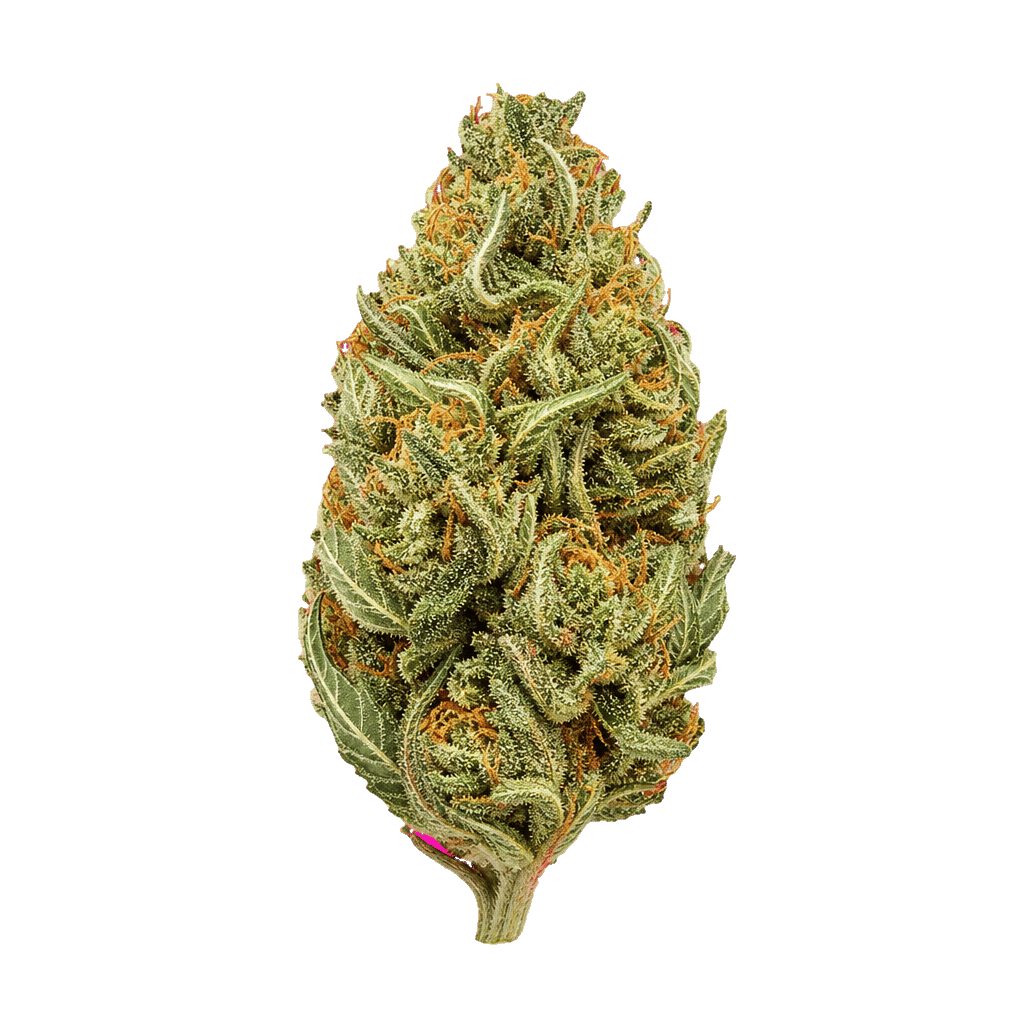 Huala 30/1 CA BKM Banana Kush Mints Online Kaufen