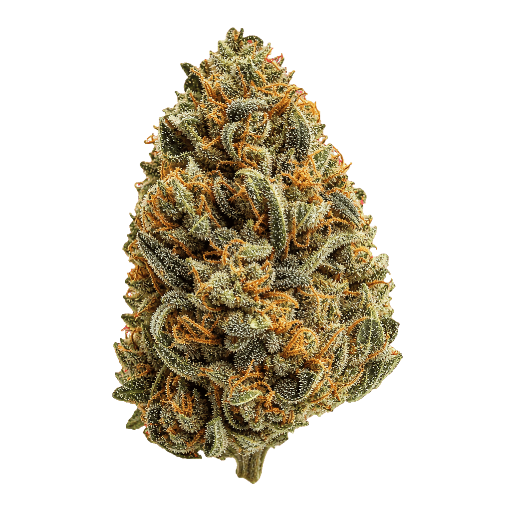 Organic Sweetgrass CB 29/1 Crunch Berries Online Kaufen