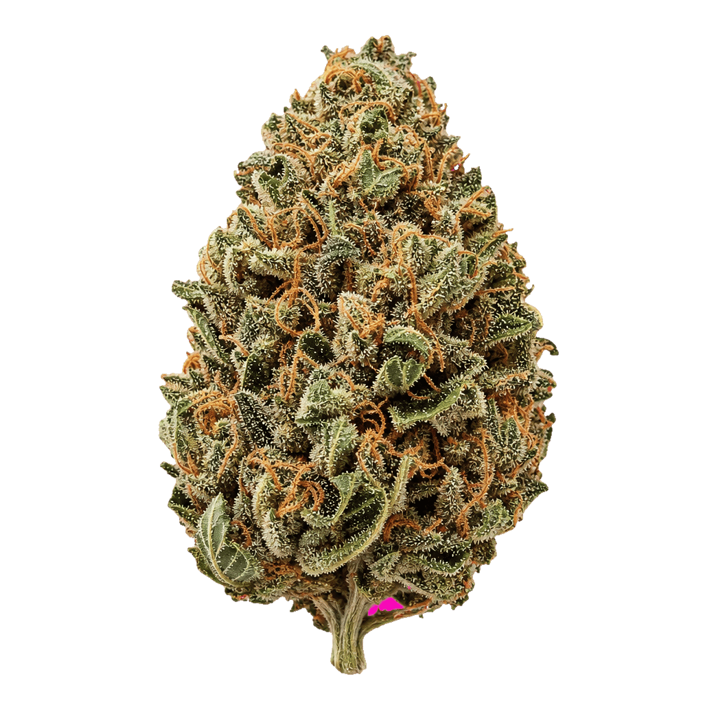 Organic Sweetgrass CB 30/1 Crunch Berries Online Kaufen