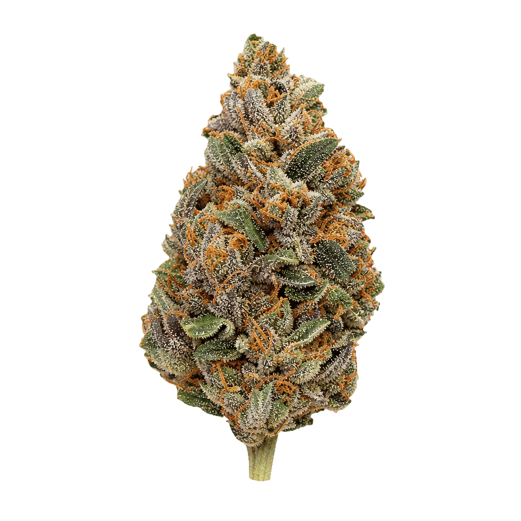 APEX DNC CA 35/1 Durban Nectar Online Kaufen