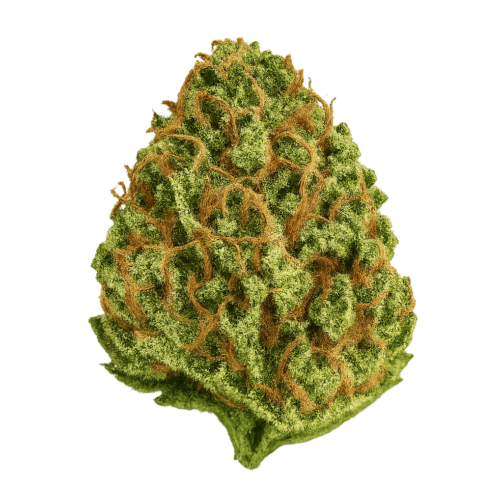 Canopy Bakerstreet 22/1 Hindu Kush Online Kaufen